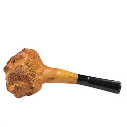 Salvatella Natural Briar Root XL