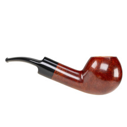 L´Anatra 1 uovo d´oro
