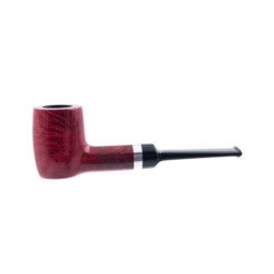 Chacom Hybride Red 157